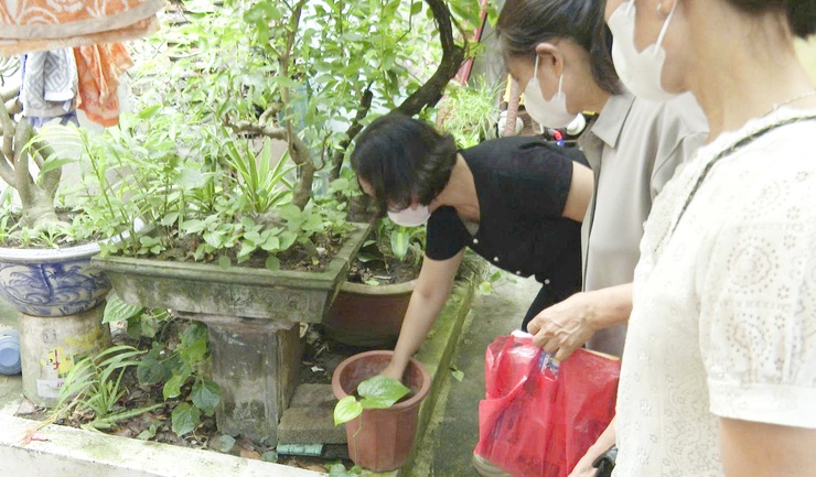 Xã Gia Lâm chung tay hành động vì môi trường xanh - sạch - đẹp- Ảnh 6.
