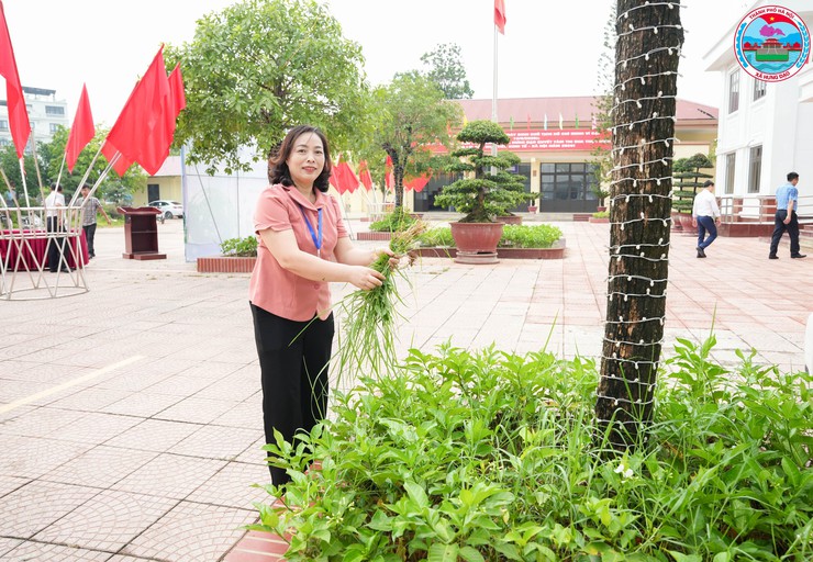 XÃ HƯNG ĐẠO PHÁT ĐỘNG PHONG TRÀO “TOÀN DÂN CHUNG TAY BẢO VỆ MÔI TRƯỜNG VÌ THỦ ĐÔ XANH – SẠCH – ĐẸP” VÀ HƯỞNG ỨNG NGÀY MÔI TRƯỜNG THẾ GIỚI 05/6- Ảnh 4.