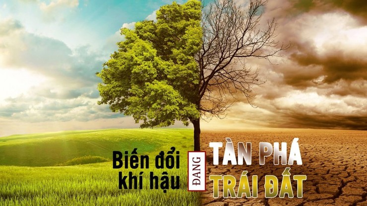BÀI TUYÊN TRUYỀN
NGÀY MÔI TRƯỜNG THẾ GIỚI 5/6/2026- Ảnh 2.