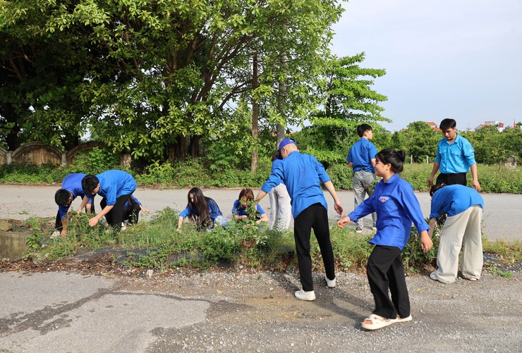 Lễ ra quân hưởng ứng Ngày Môi trường thế giới, Tháng hành động vì môi trường, Ngày Đại dương thế giới và Tuần lễ Biển và Hải đảo Việt Nam năm 2026 trên địa bàn xã Đại Xuyên- Ảnh 5.