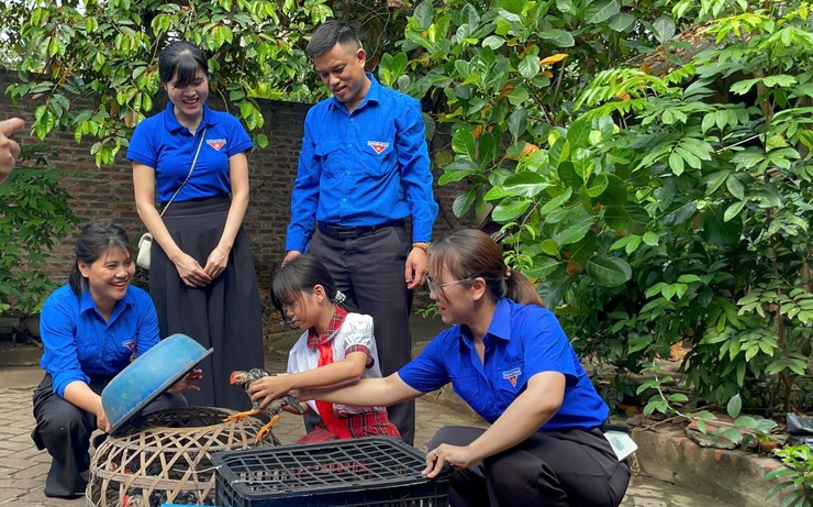Câu chuyện về nghị lực và ước mơ của em Phùng Thị Quỳnh, học sinh Trường Tiểu học Sen Phương- Ảnh 2.