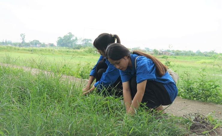 Xã Hòa Phú phát động phong trào “Toàn dân chung tay bảo vệ môi trường, vì Thủ đô Xanh – Sạch – Đẹp”- Ảnh 17.
