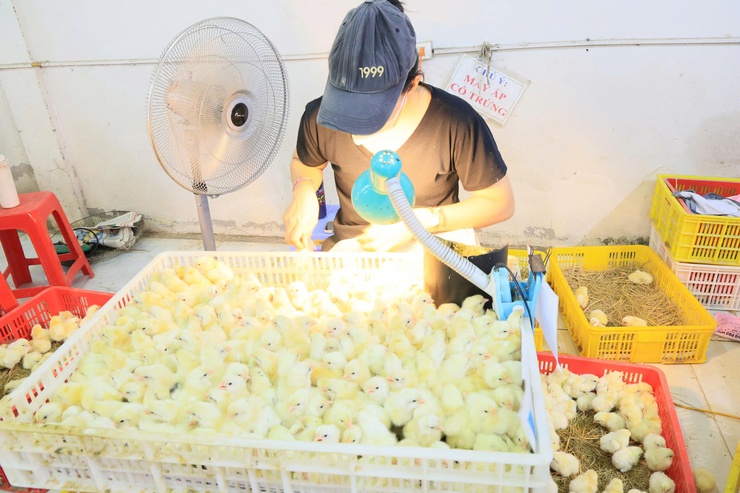 HỘI NÔNG DÂN THÀNH PHỐ HÀ NỘI TỔ CHỨC THĂM QUAN, HỌC TẬP MÔ HÌNH KINH TẾ TIÊU BIỂU TẠI XÃ THƯ LÂM- Ảnh 3.