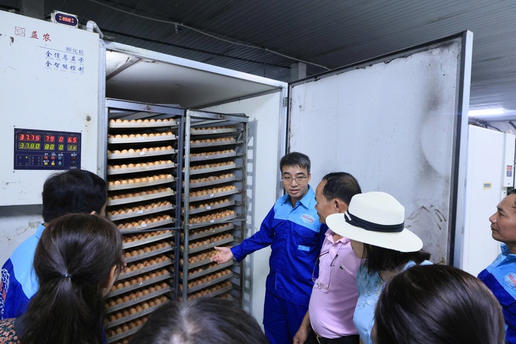 HỘI NÔNG DÂN THÀNH PHỐ HÀ NỘI TỔ CHỨC THĂM QUAN, HỌC TẬP MÔ HÌNH KINH TẾ TIÊU BIỂU TẠI XÃ THƯ LÂM- Ảnh 4.