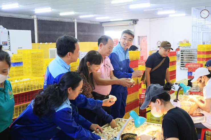 HỘI NÔNG DÂN THÀNH PHỐ HÀ NỘI TỔ CHỨC THĂM QUAN, HỌC TẬP MÔ HÌNH KINH TẾ TIÊU BIỂU TẠI XÃ THƯ LÂM- Ảnh 5.
