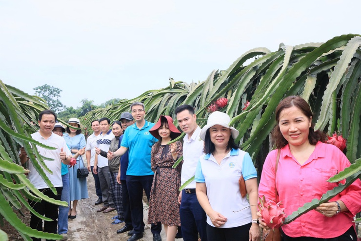 HỘI NÔNG DÂN THÀNH PHỐ HÀ NỘI TỔ CHỨC THĂM QUAN, HỌC TẬP MÔ HÌNH KINH TẾ TIÊU BIỂU TẠI XÃ THƯ LÂM- Ảnh 12.
