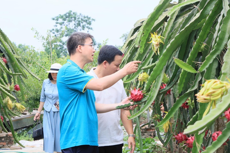 HỘI NÔNG DÂN THÀNH PHỐ HÀ NỘI TỔ CHỨC THĂM QUAN, HỌC TẬP MÔ HÌNH KINH TẾ TIÊU BIỂU TẠI XÃ THƯ LÂM- Ảnh 13.
