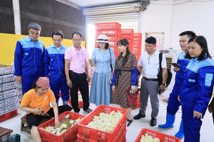HỘI NÔNG DÂN THÀNH PHỐ HÀ NỘI TỔ CHỨC THĂM QUAN, HỌC TẬP MÔ HÌNH KINH TẾ TIÊU BIỂU TẠI XÃ THƯ LÂM- Ảnh 8.