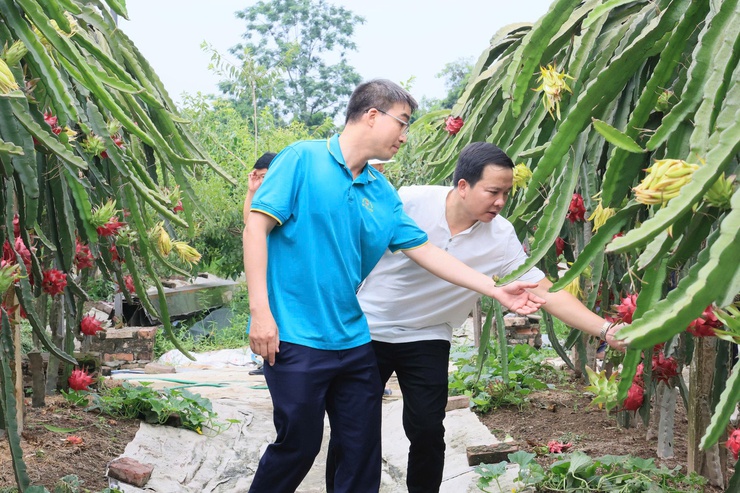 HỘI NÔNG DÂN THÀNH PHỐ HÀ NỘI TỔ CHỨC THĂM QUAN, HỌC TẬP MÔ HÌNH KINH TẾ TIÊU BIỂU TẠI XÃ THƯ LÂM- Ảnh 17.
