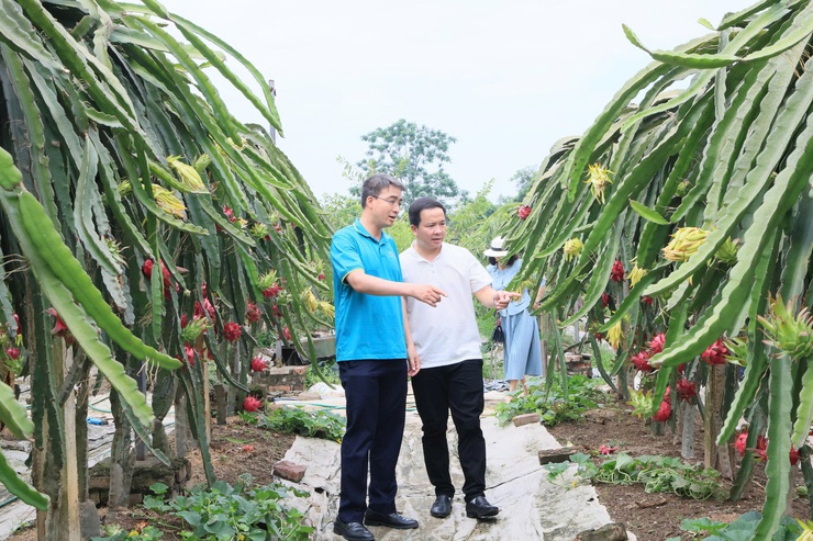 HỘI NÔNG DÂN THÀNH PHỐ HÀ NỘI TỔ CHỨC THĂM QUAN, HỌC TẬP MÔ HÌNH KINH TẾ TIÊU BIỂU TẠI XÃ THƯ LÂM- Ảnh 19.