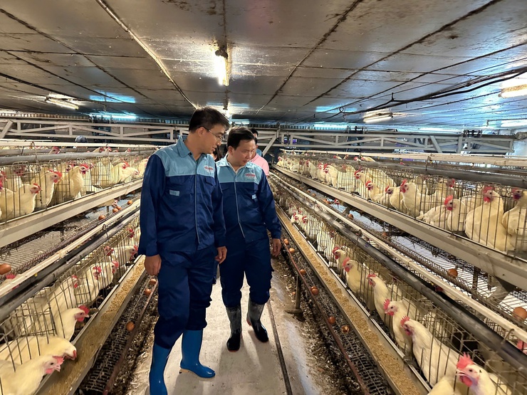 HỘI NÔNG DÂN THÀNH PHỐ HÀ NỘI TỔ CHỨC THĂM QUAN, HỌC TẬP MÔ HÌNH KINH TẾ TIÊU BIỂU TẠI XÃ THƯ LÂM- Ảnh 9.