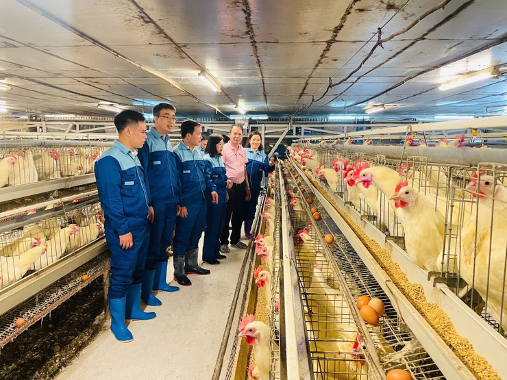 HỘI NÔNG DÂN THÀNH PHỐ HÀ NỘI TỔ CHỨC THĂM QUAN, HỌC TẬP MÔ HÌNH KINH TẾ TIÊU BIỂU TẠI XÃ THƯ LÂM- Ảnh 10.
