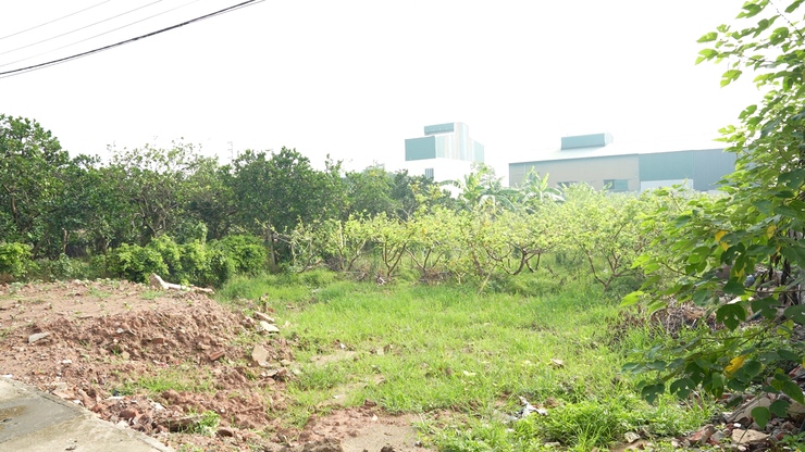 Đồng chí Bí thư Đảng uỷ đi kiểm tra, đôn đốc tiến độ triển khai, thi công một số dự án đầu tư công trọng điểm trên địa bàn xã- Ảnh 3.