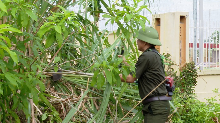 ỨNG HOÀ RA QUÂN HƯỞNG ỨNG NGÀY MÔI TRƯỜNG THẾ GIỚI (05/6) VÀ THÁNG HÀNH ĐỘNG VÌ MÔI TRƯỜNG NĂM 2026.- Ảnh 16.