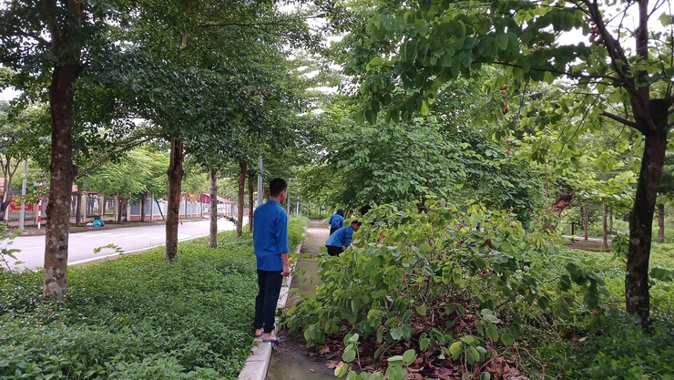 MẶT TRẬN TỔ QUỐC VÀ CÁC TỔ CHỨC CHÍNH TRỊ - XÃ HỘI XÃ THANH TRÌ RA QUÂN HƯỞNG ỨNG PHONG TRÀO “TOÀN DÂN CHUNG TAY BẢO VỆ MÔI TRƯỜNG, VĂN MINH ĐÔ THỊ, VÌ THỦ ĐÔ XANH - SẠCH - ĐẸP”- Ảnh 20.