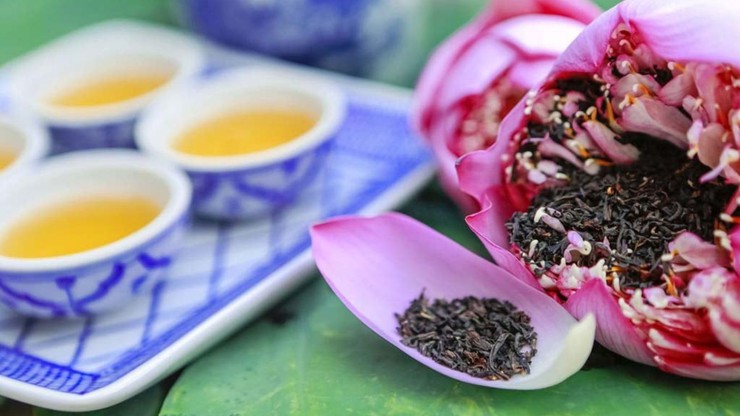 Trăm cánh sen hồng- Ảnh 4.