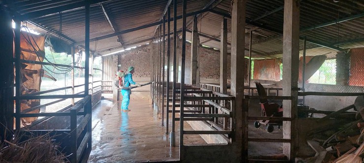 Trung tâm Dịch vụ Tổng hợp xã Ứng Thiên triển khai đợt vệ sinh, khử trùng tiêu độc sau tiêm phòng đợt 1 năm 2026- Ảnh 2.
