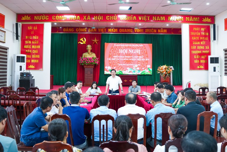 Xã Thượng Phúc triển khai công tác hợp nhất các Hợp tác xã nông nghiệp trên địa bàn- Ảnh 1.
