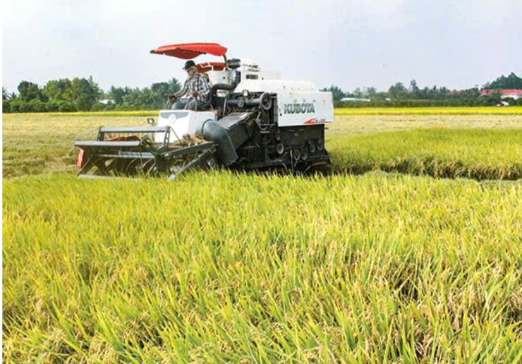 Hợp tác xã Phú Nghĩa “tiếp sức” cho nông dân trong sản xuất nông nghiệp- Ảnh 4.