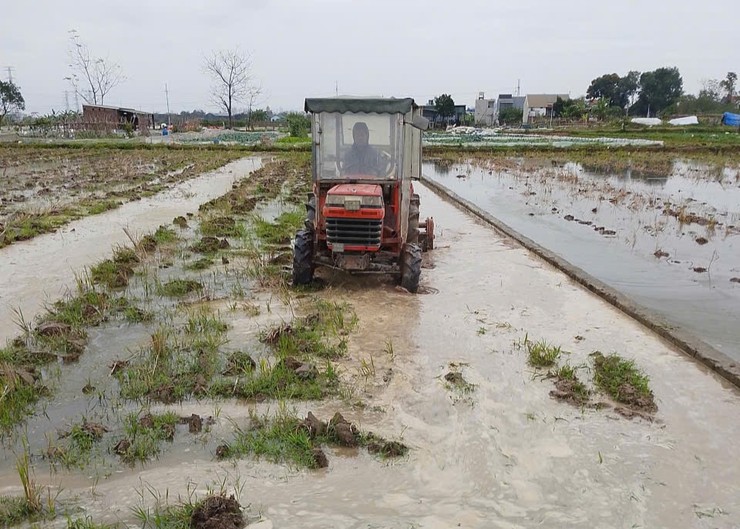 Hợp tác xã Phú Nghĩa “tiếp sức” cho nông dân trong sản xuất nông nghiệp- Ảnh 2.