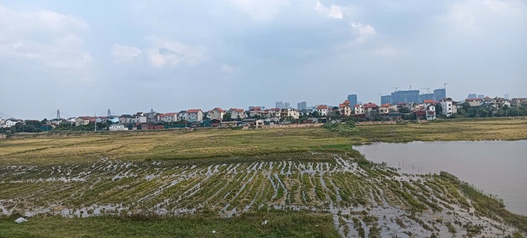 Xã Vĩnh Thanh chủ động thu hoạch vụ Xuân, sẵn sàng sản xuất vụ Mùa năm 2026- Ảnh 2.