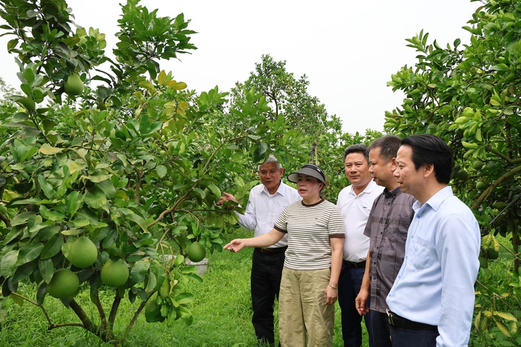 Phú Nghĩa: Những kết quả nổi bật sau gần một năm thực hiện mô hình chính quyền địa phương 2 cấp- Ảnh 1.