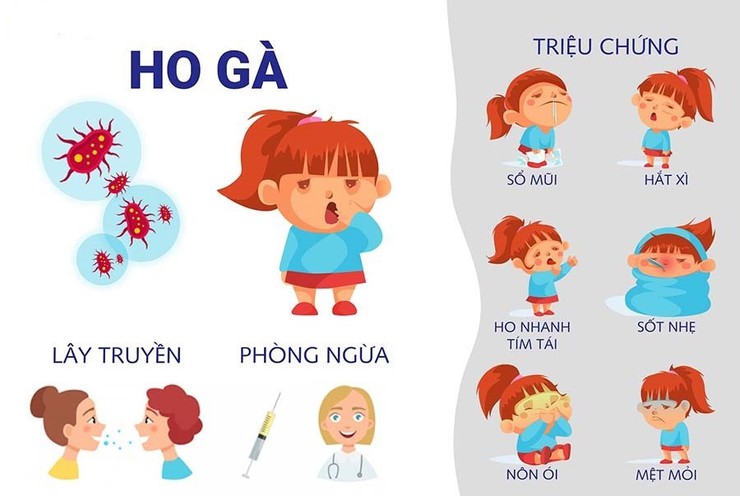 Phòng chống bệnh ho gà- Ảnh 1.