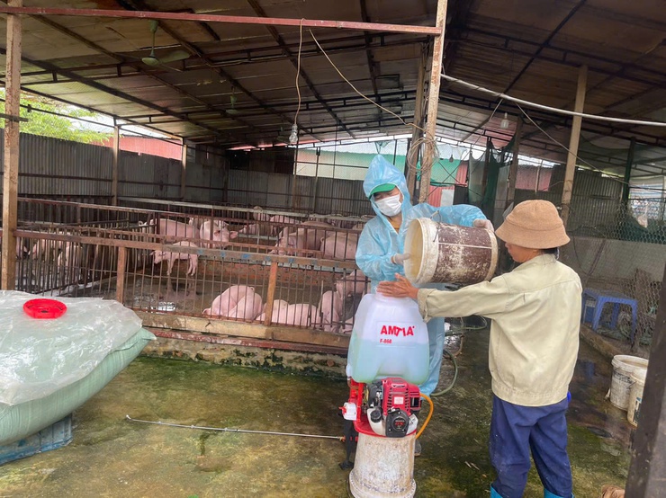 XÃ VĨNH THANH TRIỂN KHAI RA QUÂN VỆ SINH, KHỬ TRÙNG, TIÊU ĐỘC MÔI TRƯỜNG VÀ PHUN DIỆT RUỒI NĂM 2026- Ảnh 1.