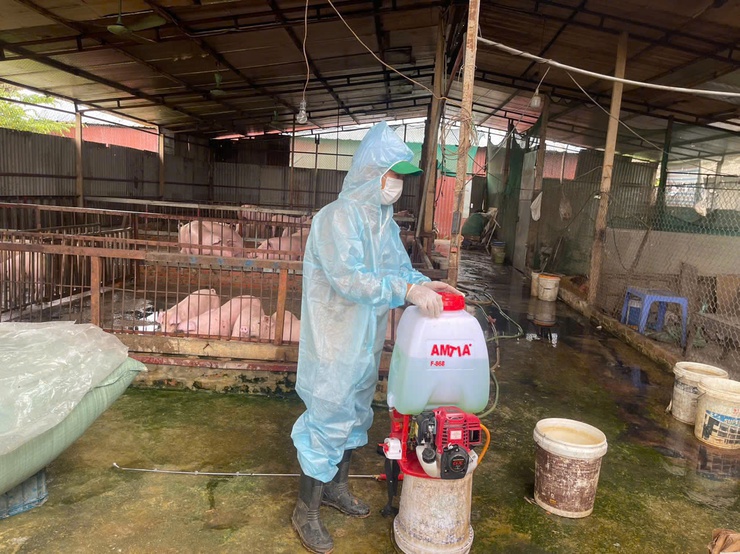 XÃ VĨNH THANH TRIỂN KHAI RA QUÂN VỆ SINH, KHỬ TRÙNG, TIÊU ĐỘC MÔI TRƯỜNG VÀ PHUN DIỆT RUỒI NĂM 2026- Ảnh 8.