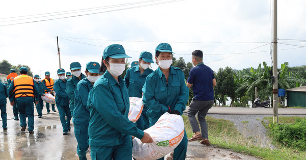 Hơn 100 người diễn tập xử lý sự cố đê điều ở huyện Ứng Hòa