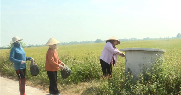 Hội Nông dân Ứng Hòa phát động thu gom bao bì thuốc bảo vệ thực vật