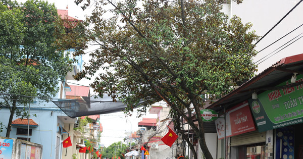 Ứng Hòa chung sức xây dựng miền quê giàu đẹp, văn minh