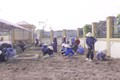 Hòa Lạc: Ra quân tổng vệ sinh, sẵn sàng đưa vào sử dụng điểm trường  Mầm non, Tiểu học tại khu tái định cư Đại học Quốc gia
