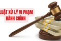 Quyết định xử phạt vi phạm hành chính đối với cửa hàng ăn uống Phở Cồ Bắc, địa chỉ tại thôn Nhật Tiến, xã Phú Nghĩa.