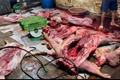 Công an xã Phú Nghĩa phối hợp liên ngành kiểm tra, phát hiện cơ sở giết mổ lợn trái phép