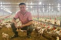 Kỹ sư với mô hình chăn nuôi hiện đại ứng dụng công nghệ số hiệu quả
