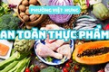 Phường Việt Hưng kiểm tra đột xuất công tác an toàn thực phẩm tại các  trường học trên địa bàn