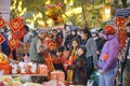 Chỉ thị của Ban Bí thư về việc tổ chức Tết Bính Ngọ năm 2026