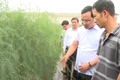 Ứng Hoà: Đa dạng mô hình nông nghiệp công nghệ cao
