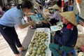 Trung tâm Công tác xã hội và Quỹ bảo trợ trẻ em Hà Nội đẩy mạnh công tác rà soát địa bàn, tập trung, tiếp nhận người lang thang trong dịp lễ 30/4 và 01/5/2025