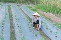 Chi hội trưởng phụ nữ tâm huyết với công tác Hội, giỏi lao động, sản xuất phát triển kinh tế