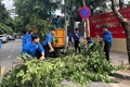 Làm đẹp phố phường, sẵn sàng chào đón ngày hội lớn