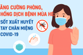 Tăng cường phòng, chống dịch bệnh mùa hè: Sốt xuất huyết, tay chân miệng và Covid-19