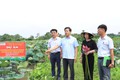 Xã Chuyên Mỹ - Hà Nội: Đa dạng hóa sản phẩm, nâng cao giá trị cho cây sen