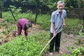 Thương binh Nguyễn Phú Ngữ – người lính kiên cường giữa thời bình