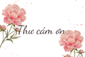 Thư cám ơn