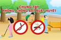 Xã Tiến Thắng tăng cường các biện pháp phòng, chống dịch bệnh sốt xuất huyết