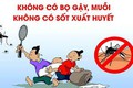 Thông báo tổ chức chiến dịch tổng vệ sinh môi trường, diệt bọ gậy phòng chống dịch Sốt xuất huyết trên địa bàn phường Long Biên