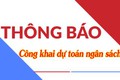CÔNG KHAI DỰ TOÁN NGÂN SÁCH PHÒNG KINH TẾ XÃ ĐÔNG ANH NĂM 2055