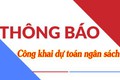 CÔNG KHAI DỰ TOÁN NGÂN SÁCH PHÒNG VĂN HÓA - XÃ HỘI XÃ ĐÔNG ANH NĂM 2025